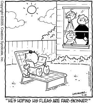 heathcliff